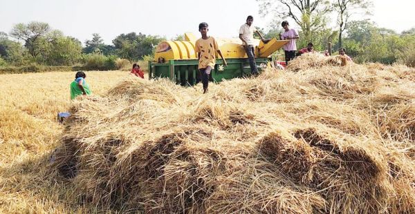 धान खरीदी की तैयारी जोरों पर, 64 हजार 626 किसान पंजीकृत