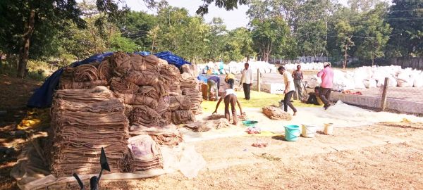 धान खरीदी की तैयारियां पूर्ण: 4341 नए किसानों  सहित 90771 किसान बेचेंगे धान