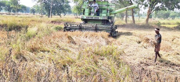 छत्तीसगढ़ में हार्वेस्टर से  धान कटाई जोरों पर