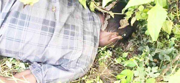 सडक़ किनारे झाडिय़ों में मिली युवक की लाश