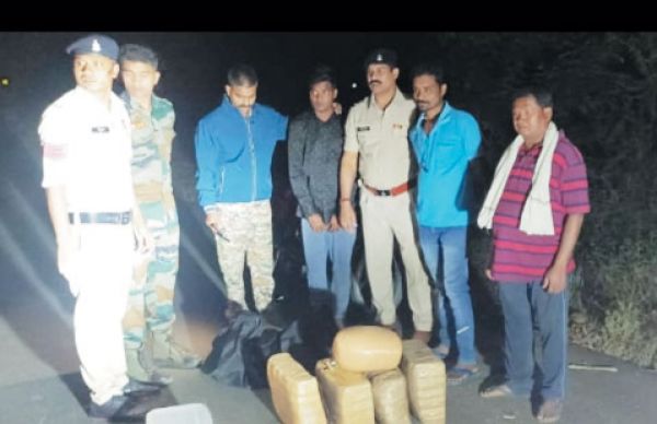 गांजा संग आरोपी पकड़ाया
