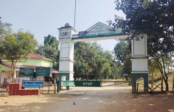 प्रकृति प्रेमियों के लिए पसंदीदा स्थान बना बारनवापारा अभ्यारण्य