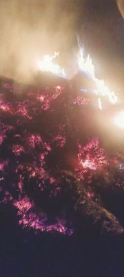 किसान के खलिहान में लगी आग, 20 क्विंटल धान, पेड़ और पैरा जलकर खाक