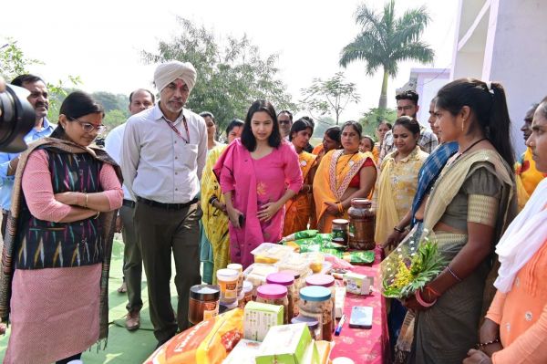 प्रत्येक परिवार को समूह के माध्यम से आजीविका से जोड़े