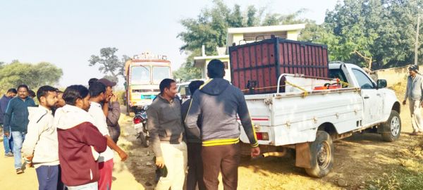 सोनाखान रेंज के ग्राम कोट पहुृंचा बाघ