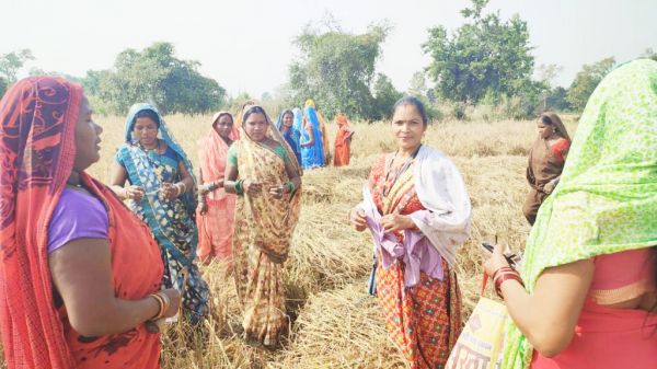 स्वास्थ्य विभाग की पहल: धान कटाई कर रहे किसानों को आंखों की बीमारियों से बचाने बांट रहे चश्मे