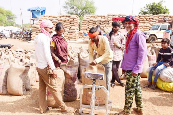जिले में 16 हजार किसानों से पौने 8लाख क्विंटल की धान खरीदी