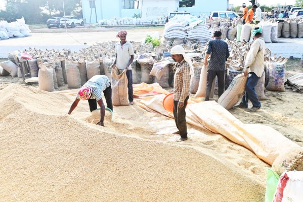 गरियाबंद में 110.50 करोड़ की धान खरीदी