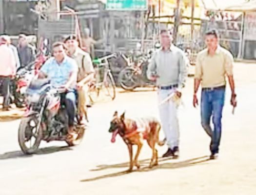 5 नकाबपोश नगदी, 7 लाख के गहने  लेकर भागे, आरोपी पकड़ से बाहर 
