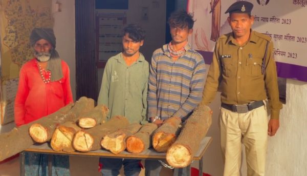 चंदन पेड़ काटकर चोरी, 3 आरोपी गिरफ्तार