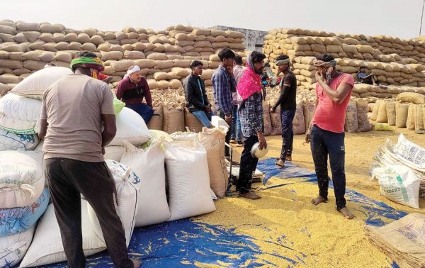 किसान के भेस में कलेक्टर पहुंचे पेटला धान उपार्जन केंद्र, समिति प्रबंधकों को चेतावनी