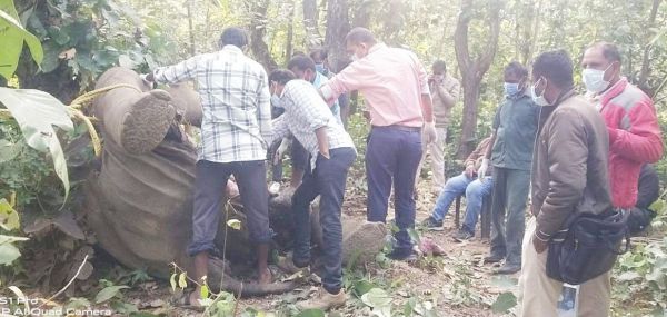जंगल में हाथी की सड़ी-गली लाश मिली, उठे सवाल