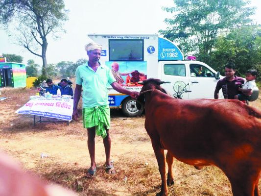 पशुओं की जांच, टीकाकरण