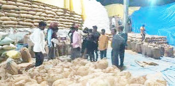 11 दिनों में ही रिकॉर्ड 11.8 लाख  क्विंटल धान की खरीदी 