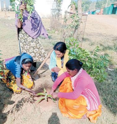  दिव्यांग मतदाताओं का सम्मान