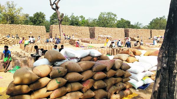 जिले में अब तक 367.40 करोड़ की धान खरीदी