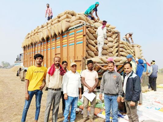 अब तक जिले में 221352 मीट्रिक टन धान की खरीदी 