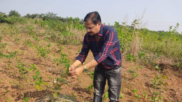 रेशम उत्पादन के लिए 5 लाख अनुदान 