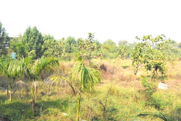 सफाई का बुरा हाल, 11 से कर्मचारी करेंगे हड़ताल