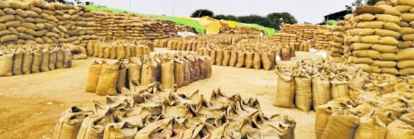 धान का परिवहन नहीं हुआ तो खरीदी बंद