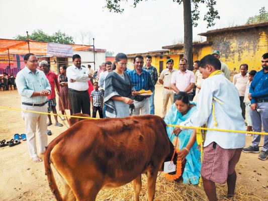 गौ पूजन व किसानों का सम्मान, राज्य सरकार के 1 वर्ष पूरे होने पर विविध कार्यक्रम