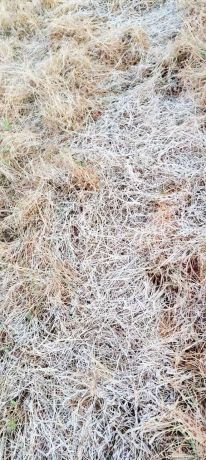 बलरामपुर में ठंड से युवक की मौत, न्यूनतम तापमान में गिरावट ने 36 बरस का रिकॉर्ड तोड़ा