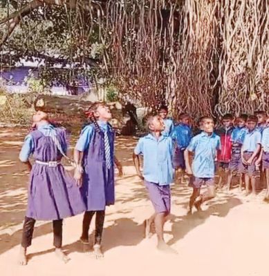 प्राथमिक शाला डोंगरी गुड़ा में बैगलेस डे, कई कार्यक्रम
