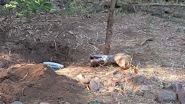 महाराष्ट्र पुलिस ने नक्सलियों की साजिश को किया नाकाम