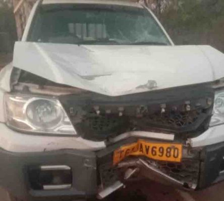 सडक़ हादसे में 3 ग्रामीणों की मौत