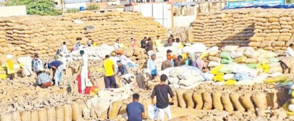 सवा सौ धान खरीदी केंद्रों में 8 फीसदी उठाव 