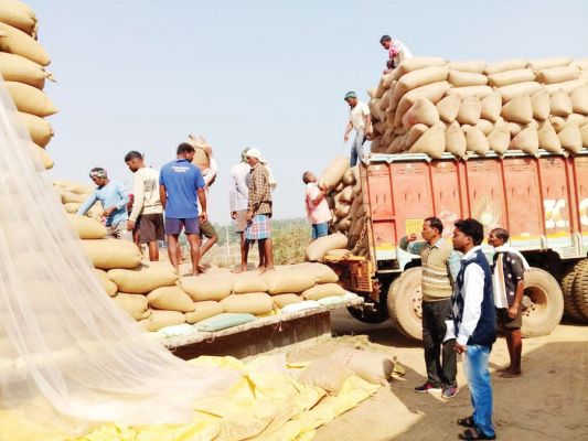  12 हजार टन धान उठाव