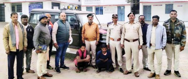 हाथी की मौत, करंट का तार लगाने वाले 2 गिरफ्तार