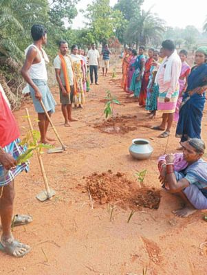 सुशासन के एक साल पूर्ण होने पर अमृत सरोवर में वृक्षारोपण