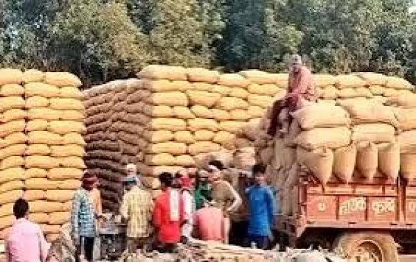 39.71 लाख क्विंटल धान की खरीदी, केंद्रों में 29.4 लाख क्विंटल जाम 
