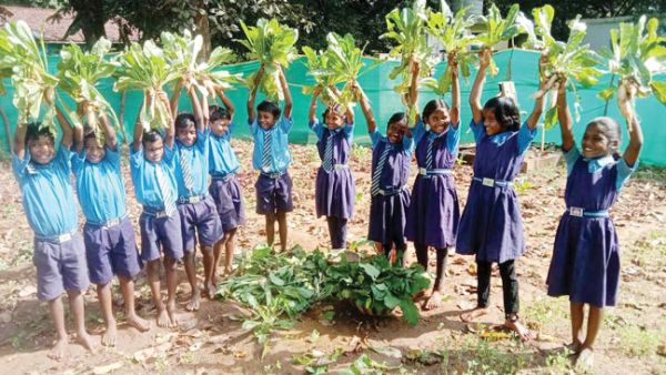 पौष्टिक सब्जियों के महत्व को जानने स्कूली बच्चों ने बनाया किचन गार्डन