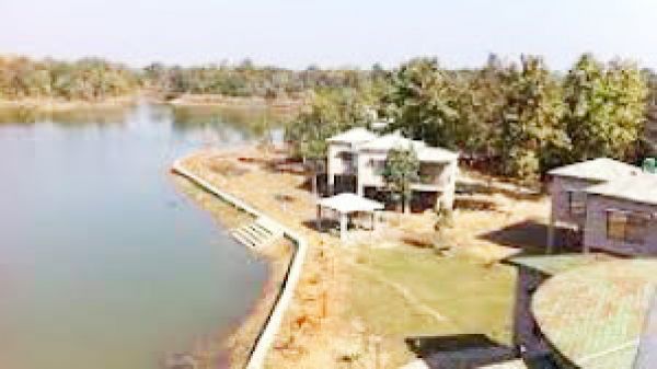 बारनवापारा अभ्यारण में लग रहा सैलानियों का तांता 