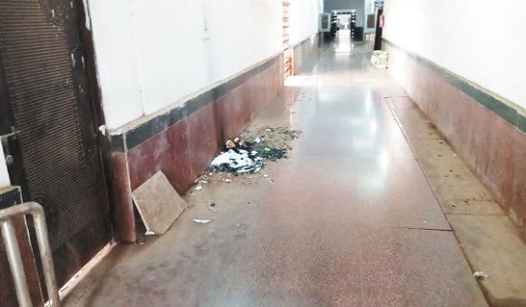 कलेक्टर परिसर में लगा कचरे का अंबार, डस्टबिन भी नहीं