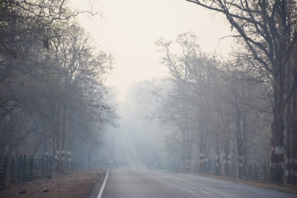 धमतरी में तापमान चढऩे से कम हुई ठंड, अधिकतम 29 डिग्री के पार