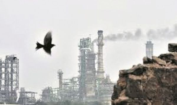 जहरीली गैस मनुष्य, जानवर और  पेड़-पौधों के लिए खतरनाक 