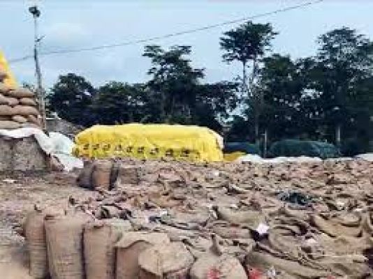 बेमौसम बारिश: समितियों में भीगे बारदाने 