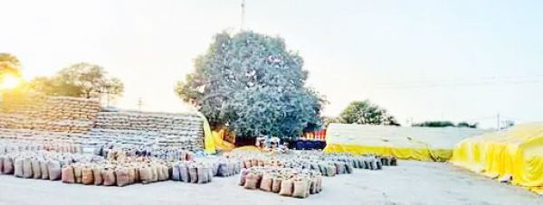 भेण्डरी केन्द्र में 40 हजार क्विंटल धान खरीदी