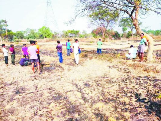 महिला की अद्र्धनग्न लाश मिली, हत्या की आशंका