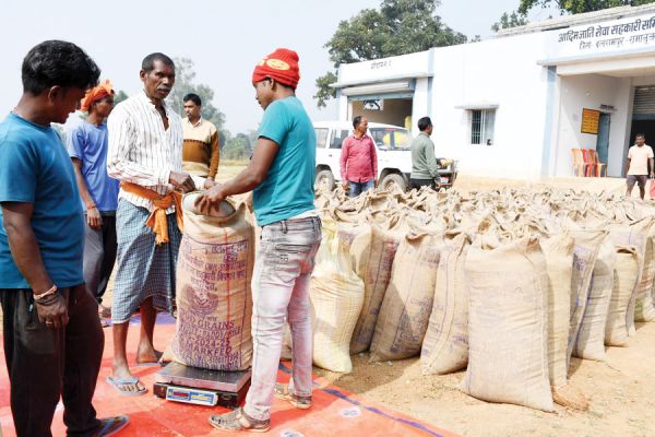 बलरामपुर में अब तक डेढ़ लाख टन धान खरीदी