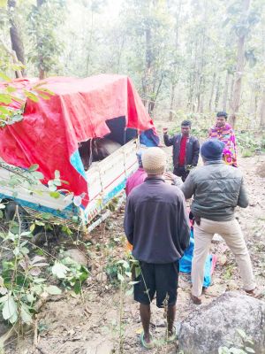  गौवंश से भरी पिकअप को फिल्मी  अंदाज में पकड़ा, तस्कर फरार