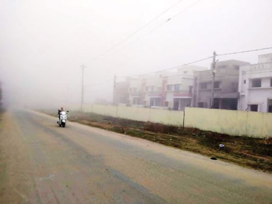 घने कोहरे से ढका रहा सरगुजा
