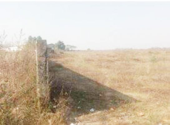 भू माफियाओं सहित कोटवारों पर भी मेहरबान राजस्व विभाग!