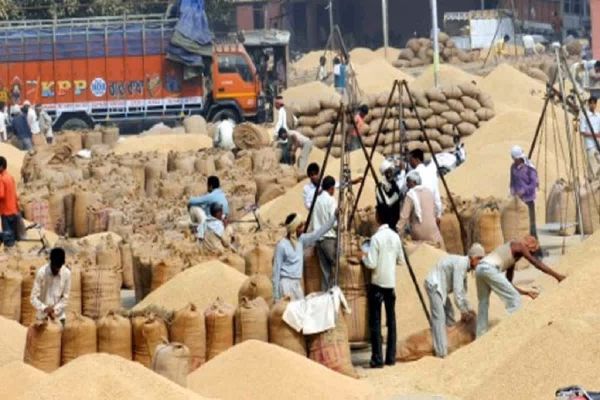 1.15 लाख किसानों से 53.71 लाख क्विंटल धान खरीदी