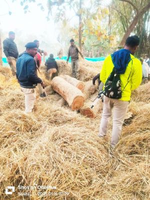 ओडिशा सीमा पर 15 लाख की सागौन, इमारती लकड़ी जब्त
