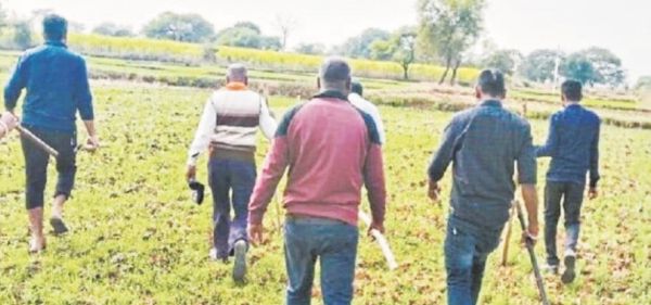 साजा में पूर्व मंत्री चौबे के फार्महाउस के पास दिखा बाघ