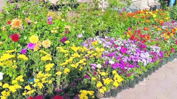 फुटपाथों पर ठेले, खोमचे, कपड़े, फुलवारी की अस्थायी दुकानें, राहगीर परेशान